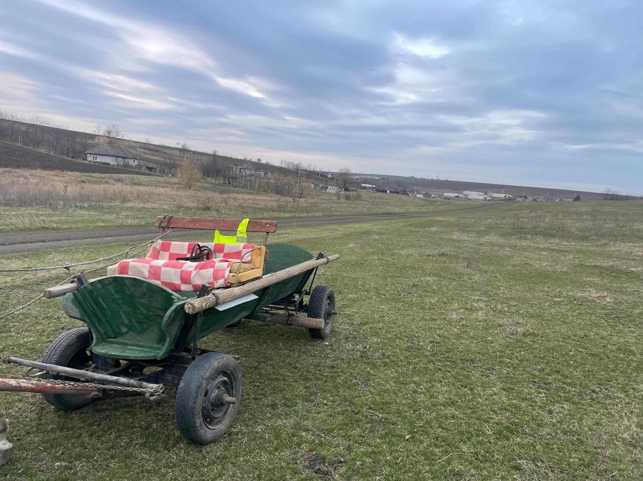 Vând căruța și cal