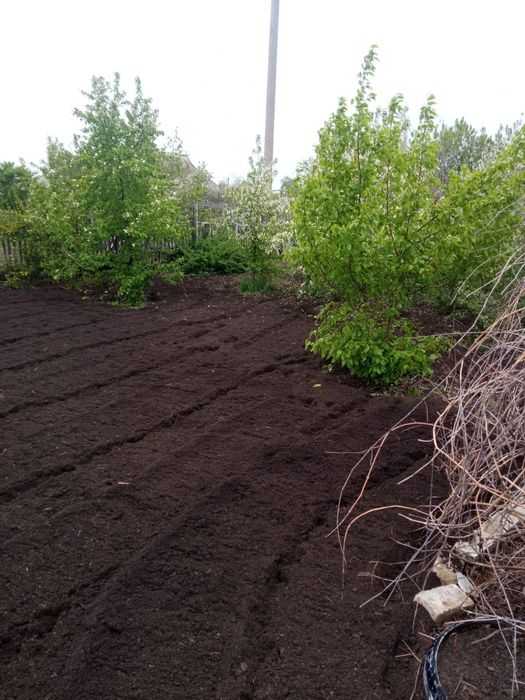 Продам дачу сады 1