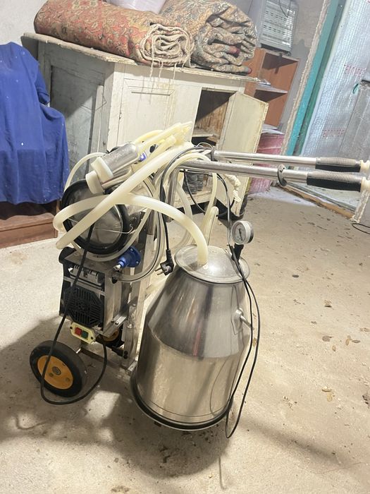 Бие, сиыр ешкі сауатын апарат