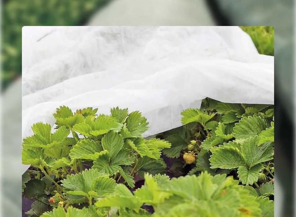 Агроспан. Укрывной материал в рулонах