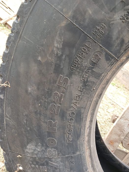 Мишилени ведущих