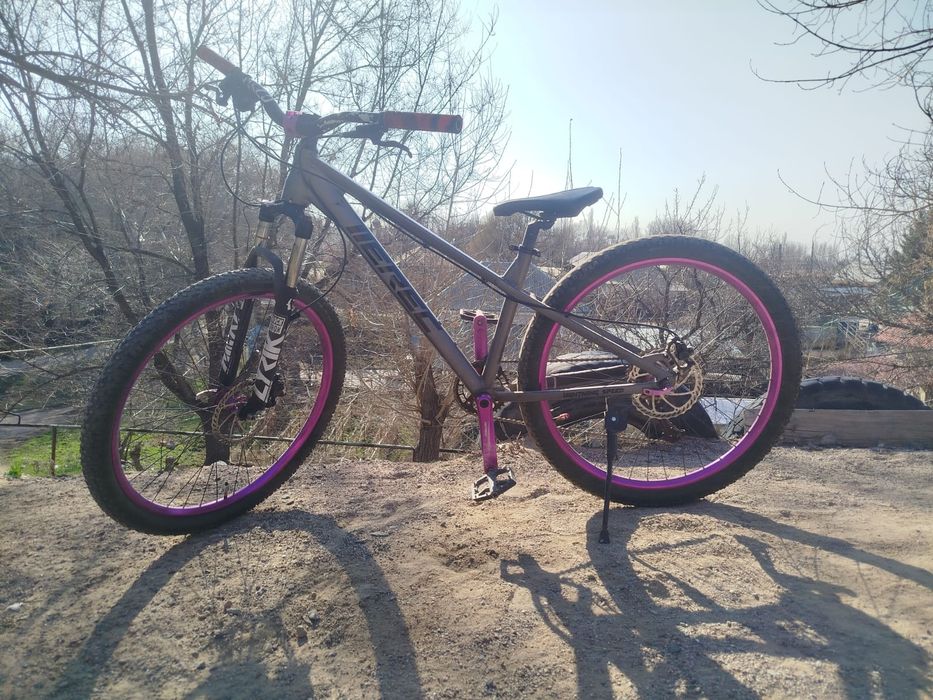 Велосипед Erec L100