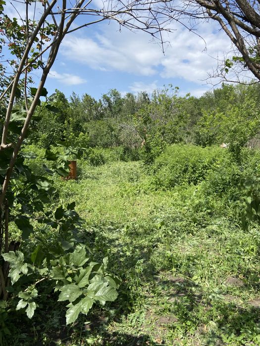 Дача казинсике меловые горки