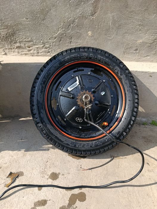 Drongo Monsterga mator