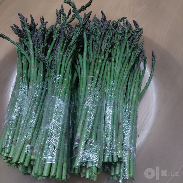 Продаю корни  спаржи Аржентельской