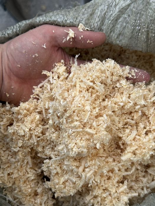 Стружка сухая, (опилки)