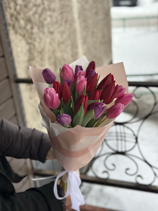 Тюльпаны голландские