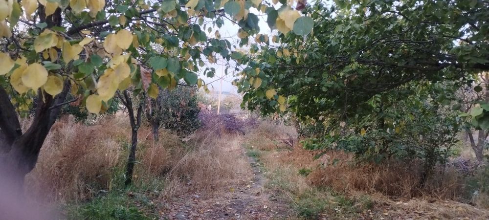 Уй ховли арзон нархда сотилади.