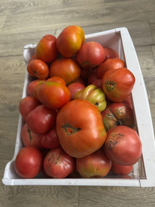 Продам помидоры 1 кг, 2 кг , 10 кг