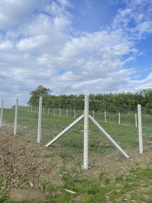 Stalpi beton 2m / 2,4m NOI gard spalieri