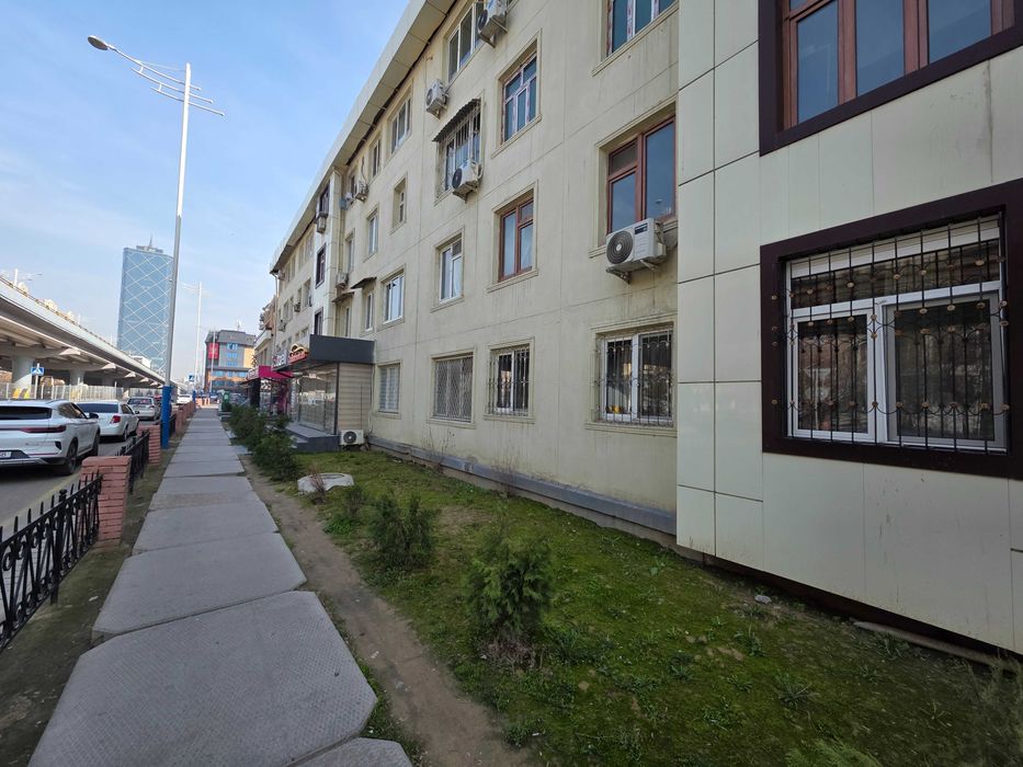 Мукими мост / Шота Руставели 43 м2. Фасад 9 метров