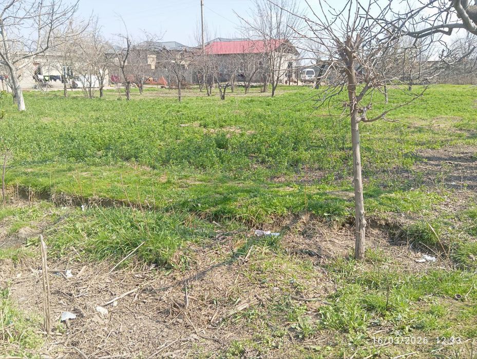 Xovlimizdan 12 sotix yer sotiladi uchastka uchun  motrit pilim sapxoz