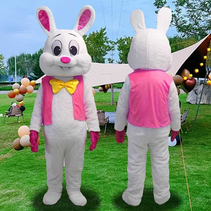 Мики Маус Заек Парти плюшен костюм за рожден ден 3 вида