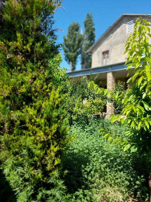 Қибрай Тумани Шалола Махалласида Ховли Сотилади