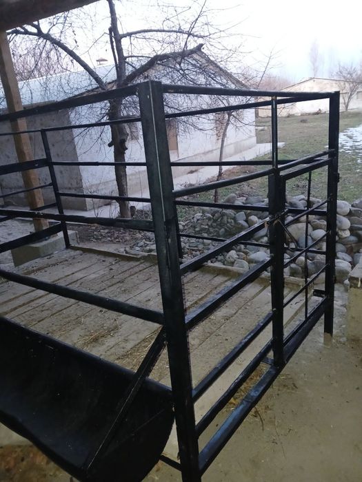 Qo'y qo'ra arzon sotiladi