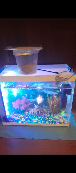 продам аквариум и тд
