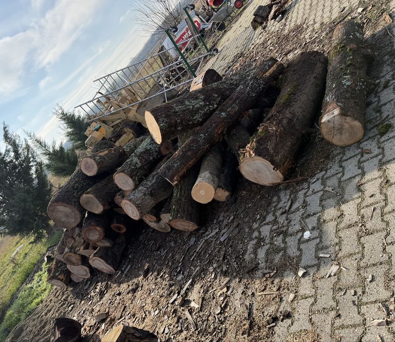 Lemn de foc,  esenta tare