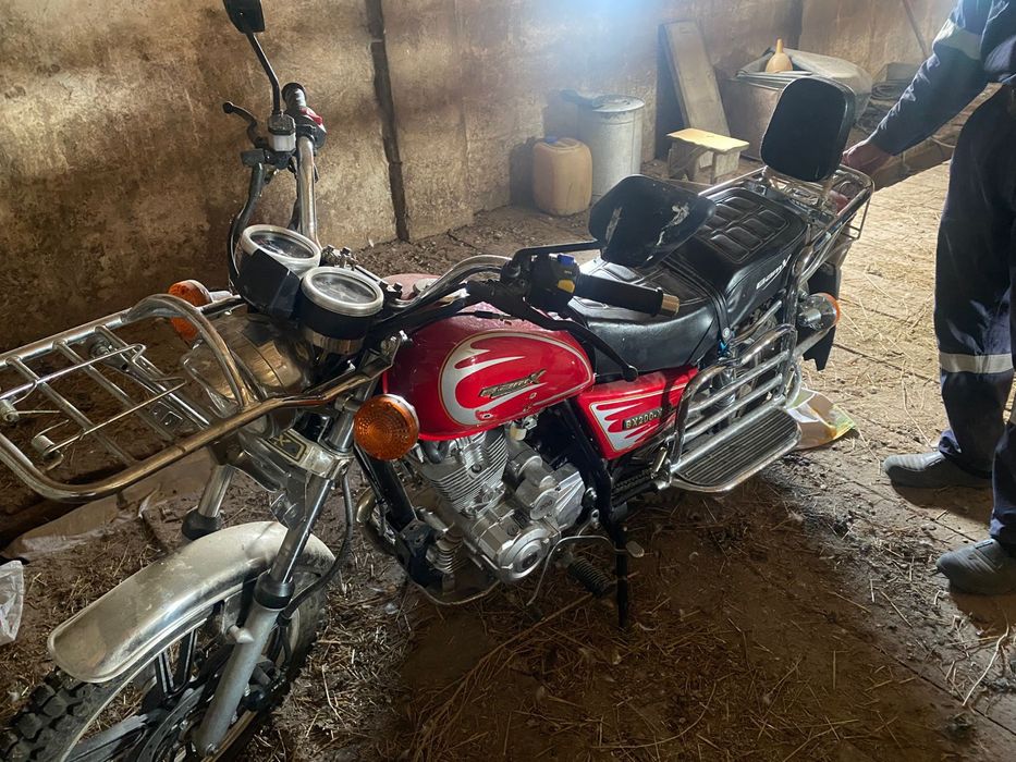 Обменяю на скот срочно