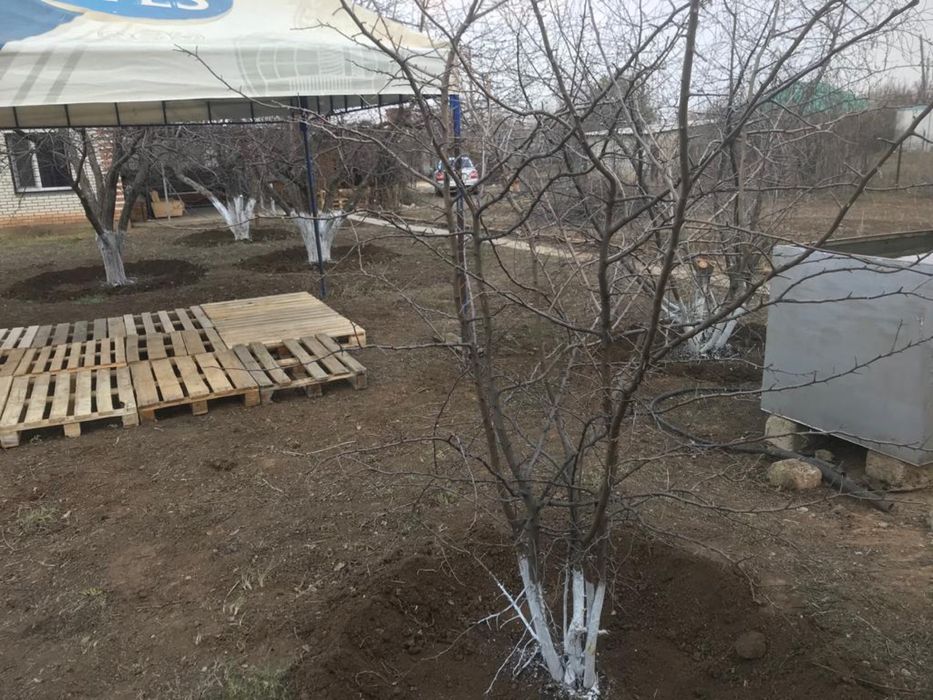 Продам дом/ аренда