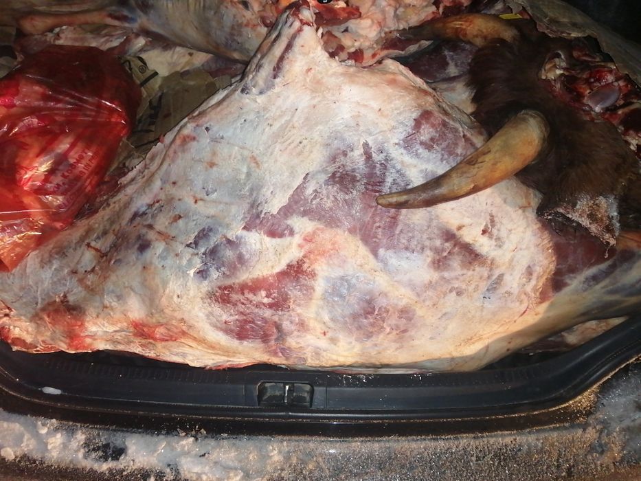 Мясо говядина молодняк