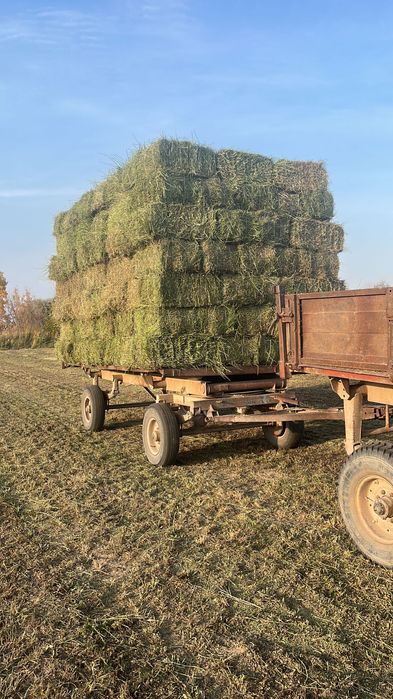 Жонышка 2 кост кургак су тимеген