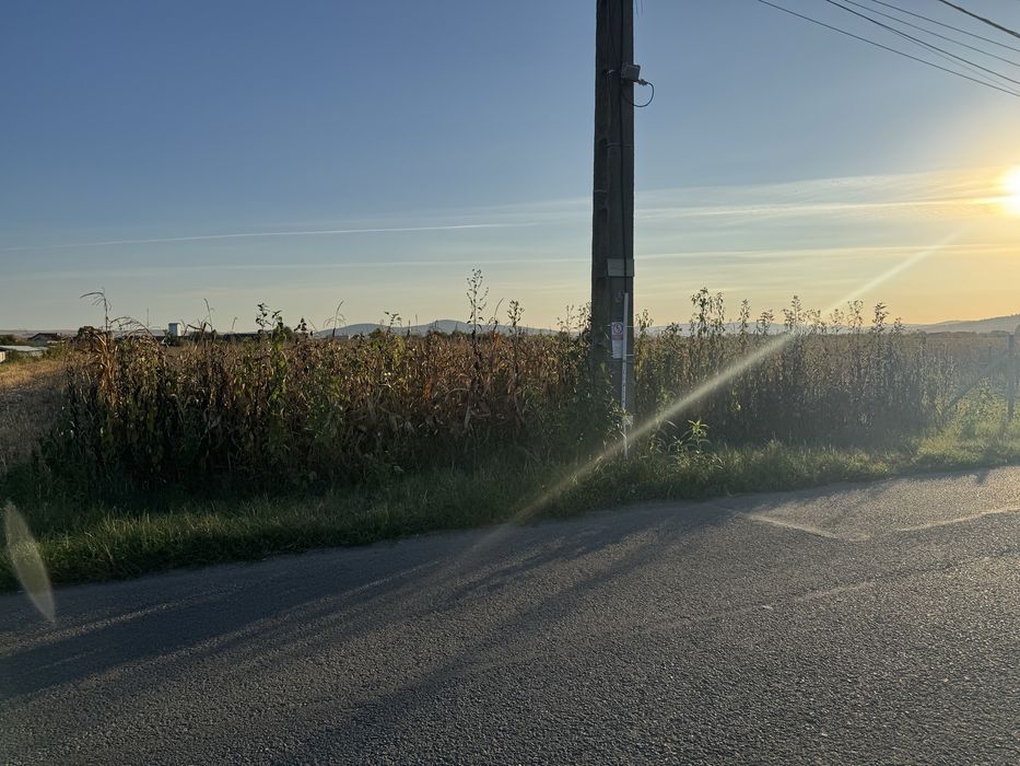 Teren vanzare Jelna
