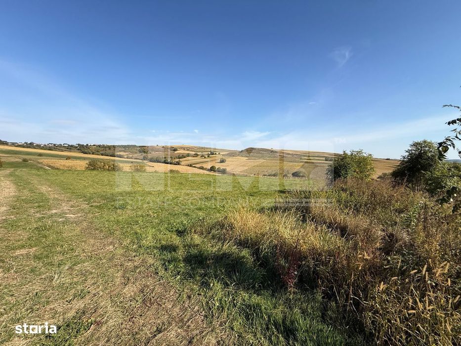 Teren intravilan Burla | 4.000 mp