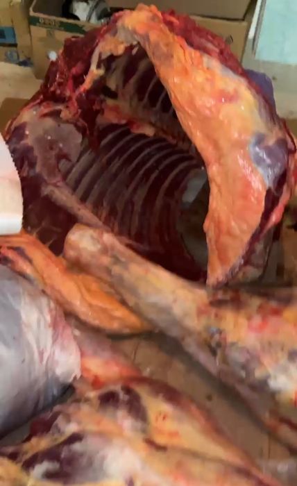 Семіз сиыр жылқылар бар