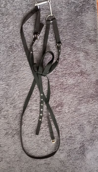 Уздечка для лошади
