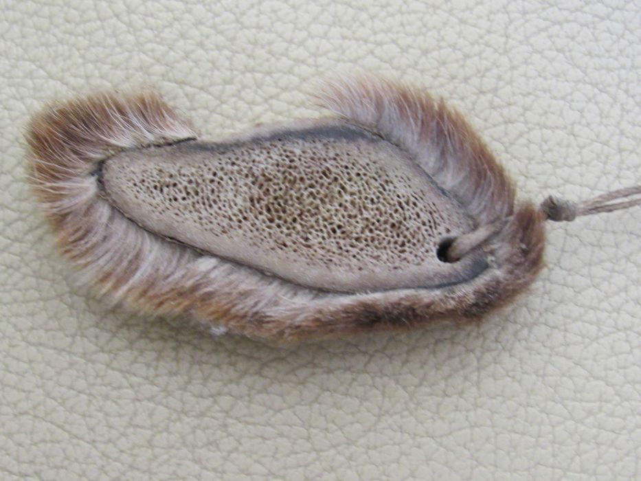 Колие с рог от благороден елен, Монголия