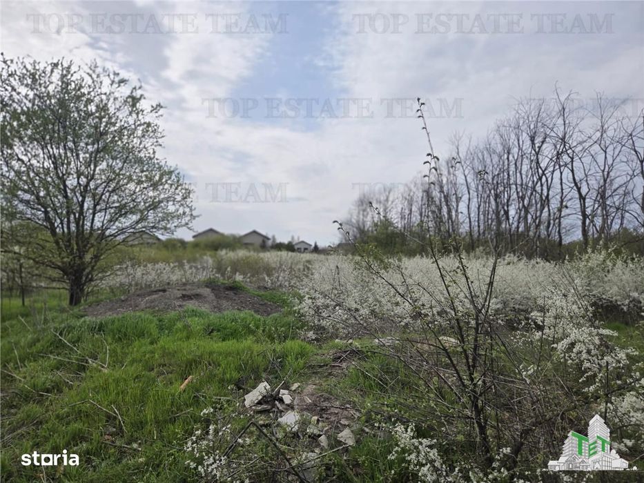 TEREN INTRAVILAN la 20 minute de Bucuresti