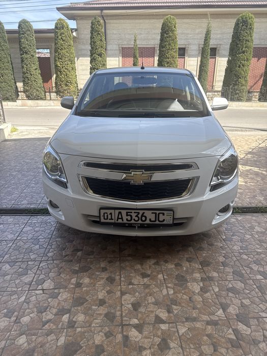 Kobolt 2019 yill aftamat karopka