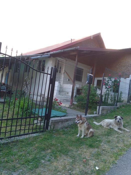 Schimb casă cu apartament
