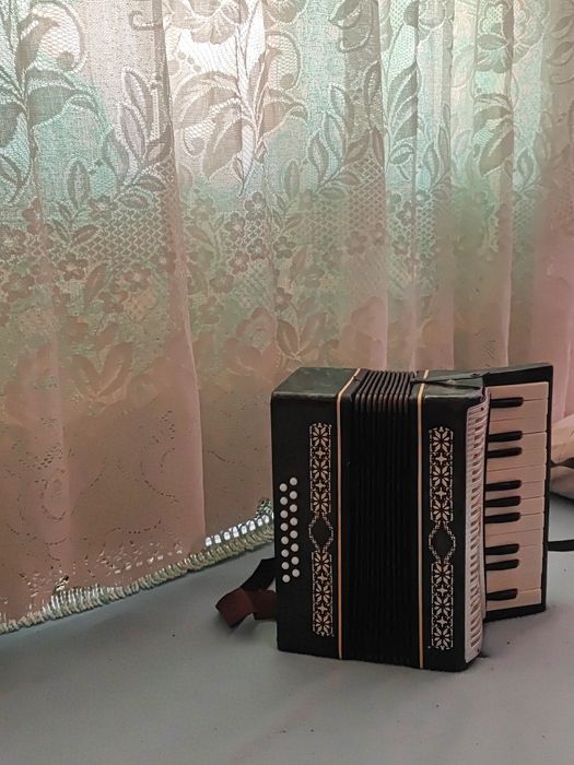 Акордеон   Малыш