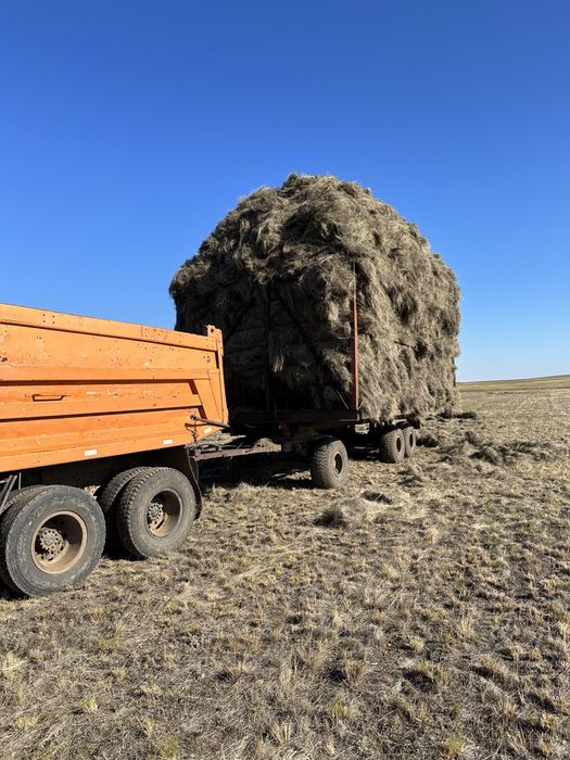 Продам прицеп сеновозка птс -13