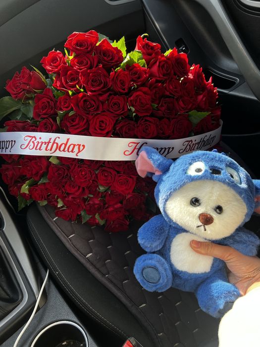 Мягкие игрушки с капюшоном