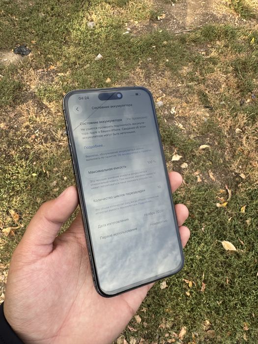 iPhone 15 Pro Max 256gb 100%