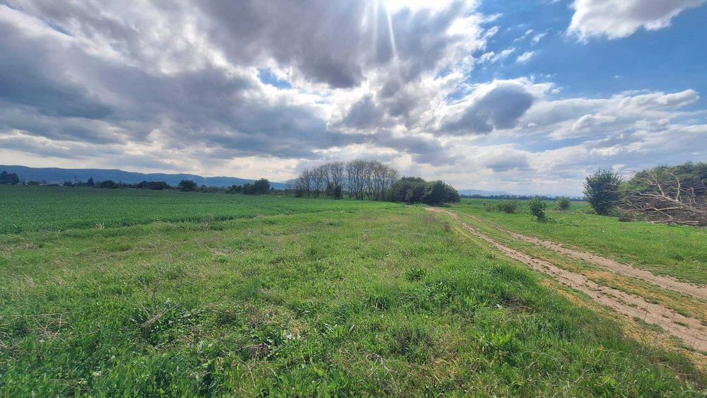 Продава се Парцел в с. Мусачево, Област София-област - 18185 кв.м за 13 €/кв.м - Снимка #5