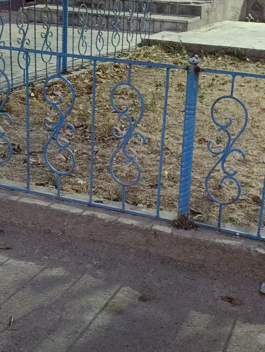 METAL OLAMIZ 2 500 DAN 4 000 Gacha