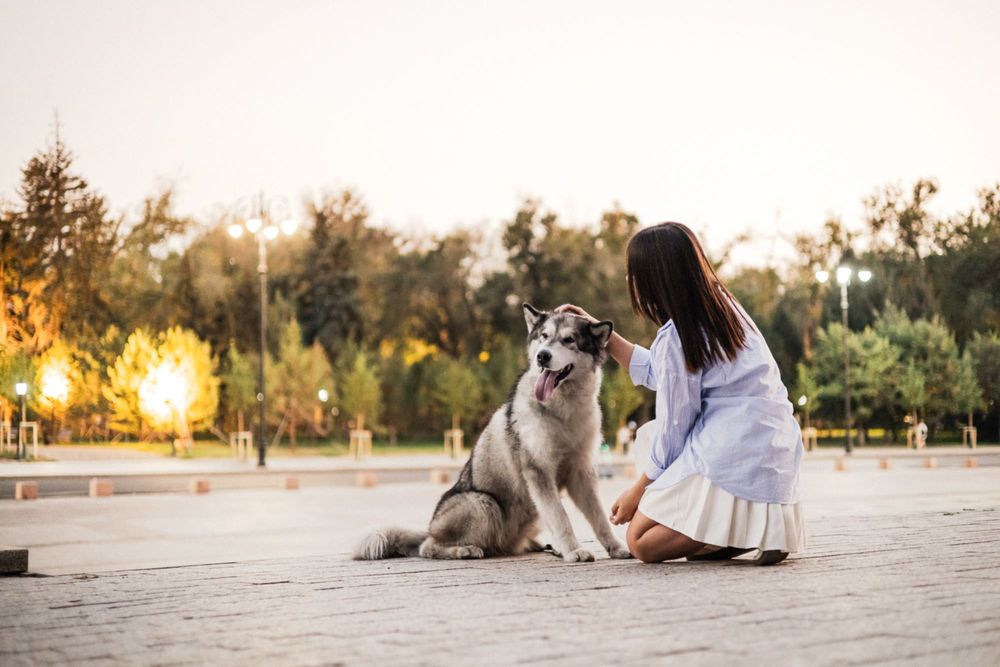 фотосессия с волком