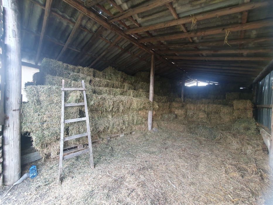 Baloti de Lucerna, Paie, Fan