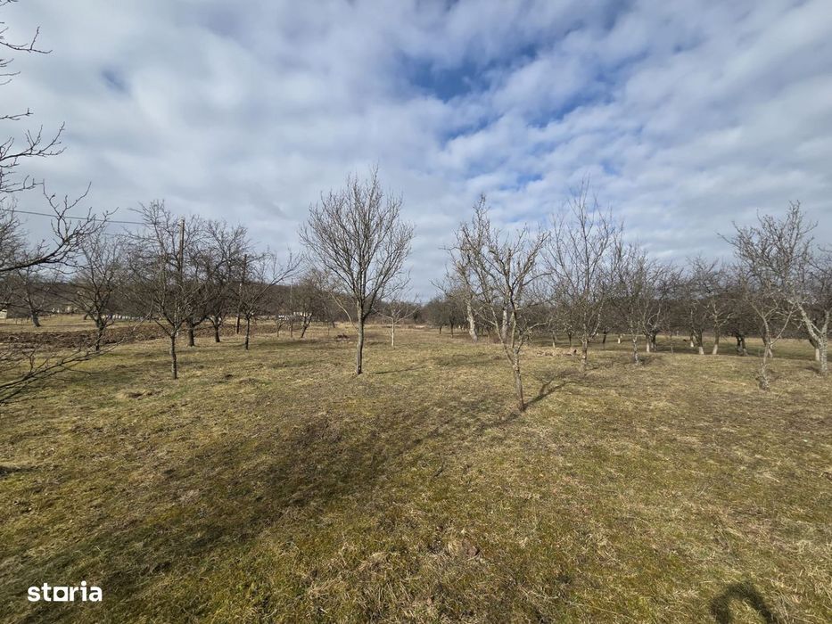 Teren intravilan, 3800 mp, ideal investitie - zona turistica , Moigrad