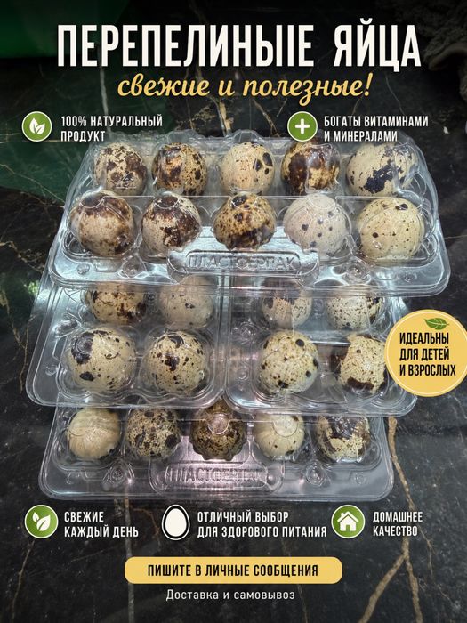 Перепелиные яйца