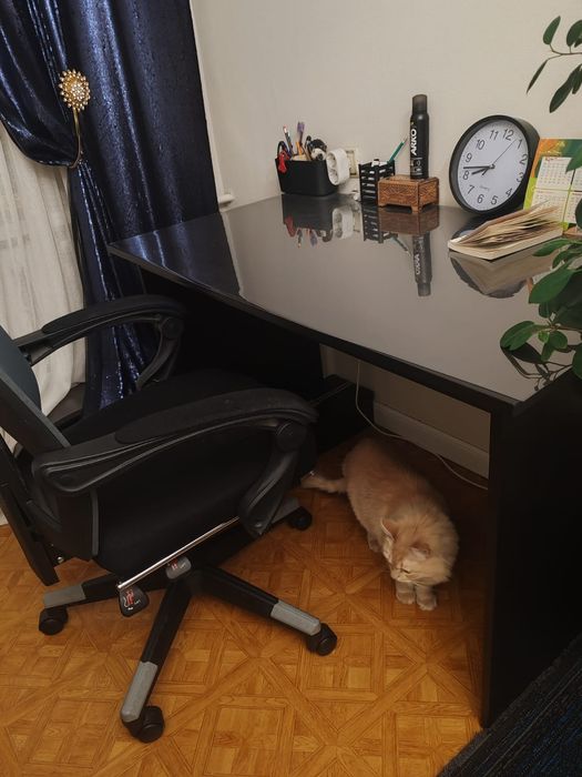 Шкаф и стол (Икеа) и кресло