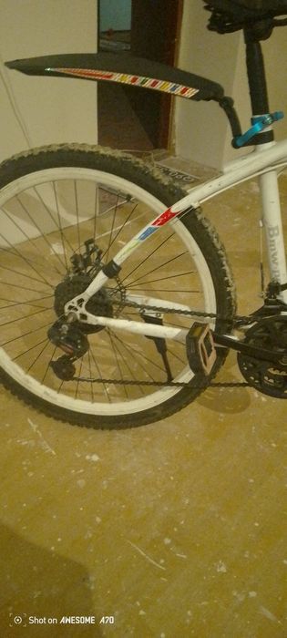 Велсвет ыспртини