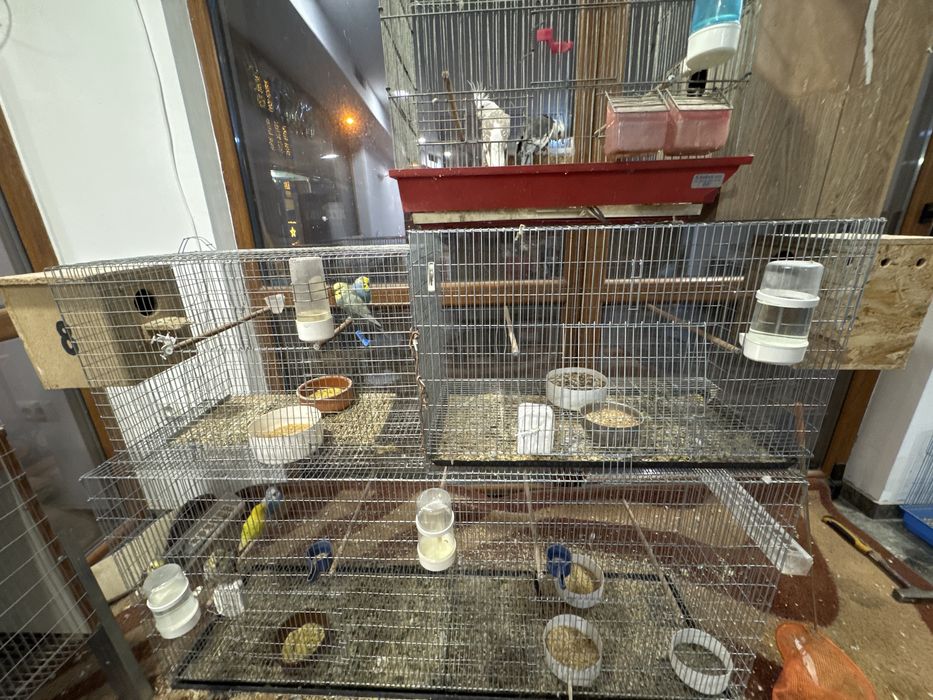 Продавам 5 бр клетки за птици