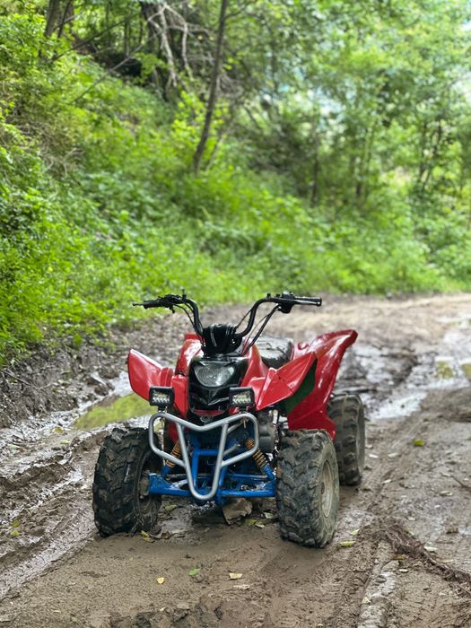 Atv bashan bs200