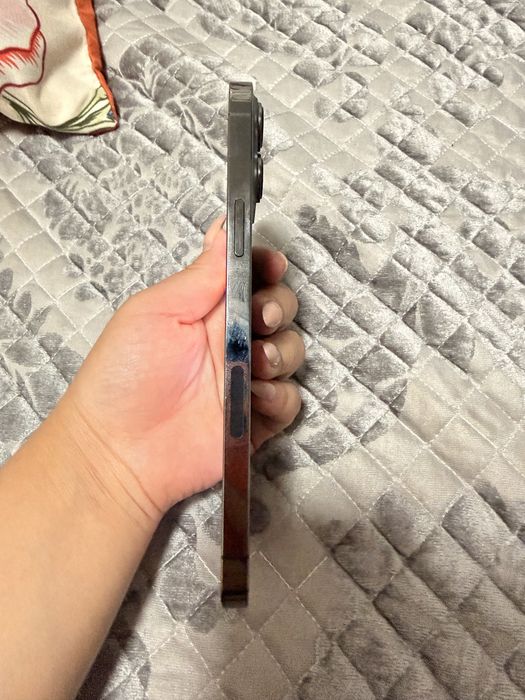 iPhone 13 pro max