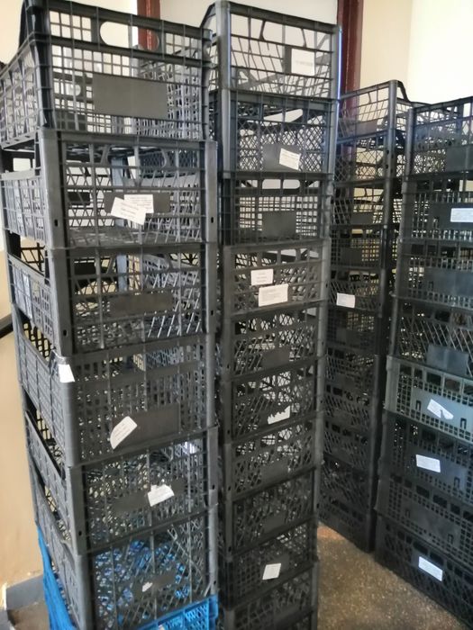 Baxuri banane lădițe plastic noi pentru fructe legume flori