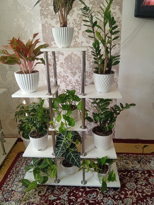 Полки для цветов